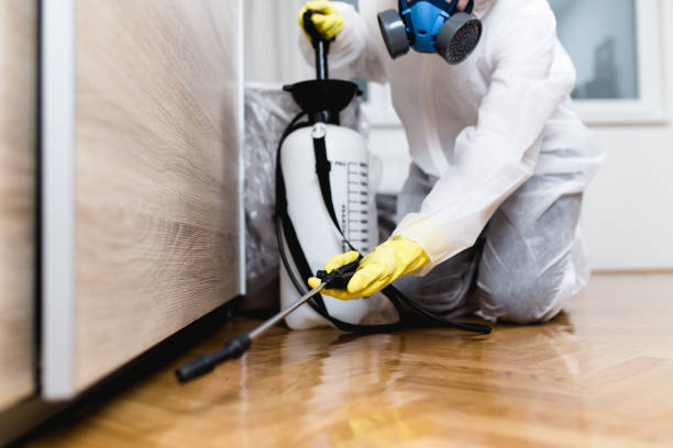 Best Termite Control Services  in Huxley, IA