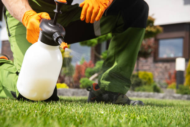 Best Pest Removal Services  in Huxley, IA