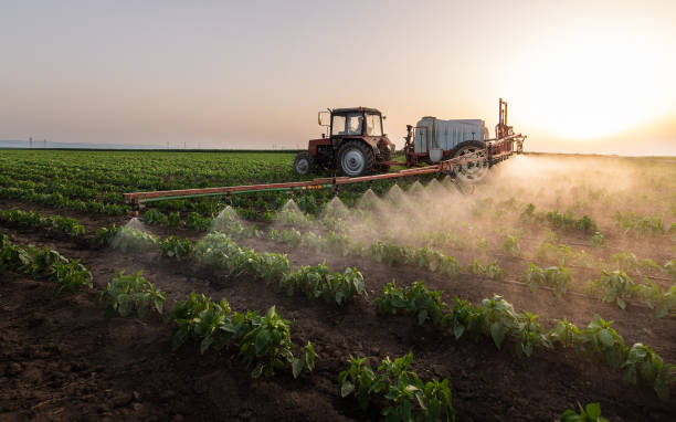 Best Pest Inspection Near Me  in Huxley, IA