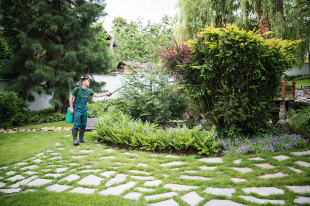 Best Affordable Pest Control Services  in Huxley, IA